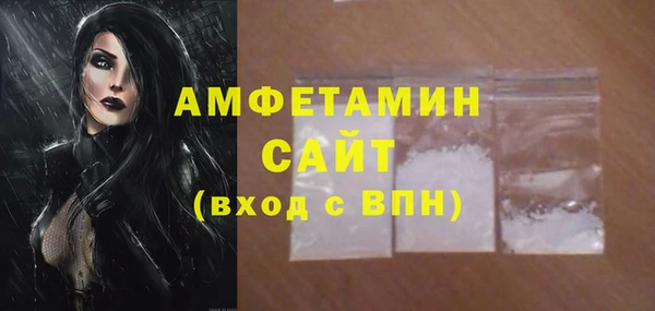 индика Волосово