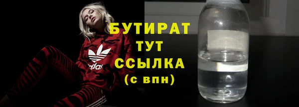 индика Волосово