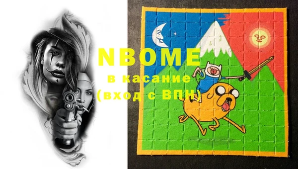 индика Волосово