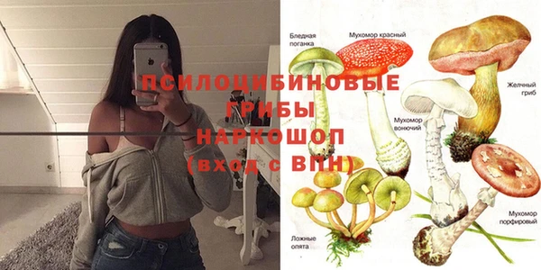 герыч Верея