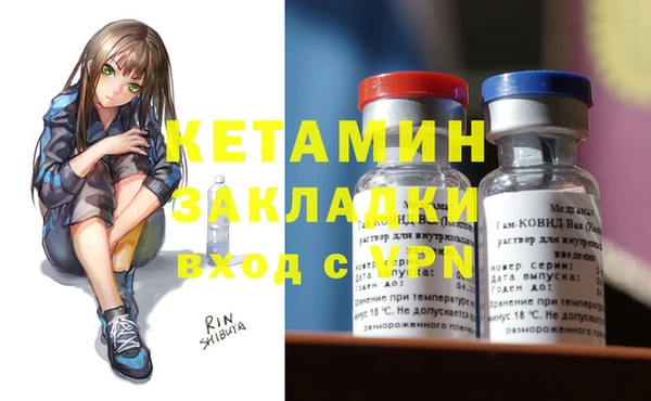 индика Волосово